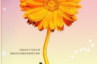 杨凌：为中国油菜振“芯”
